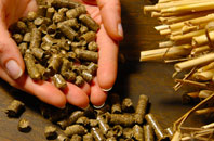 free Guide biomass boiler quotes
